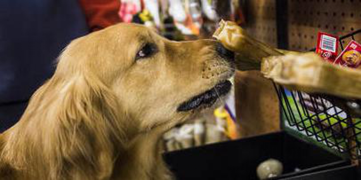 dog smelling treats at pet supply store